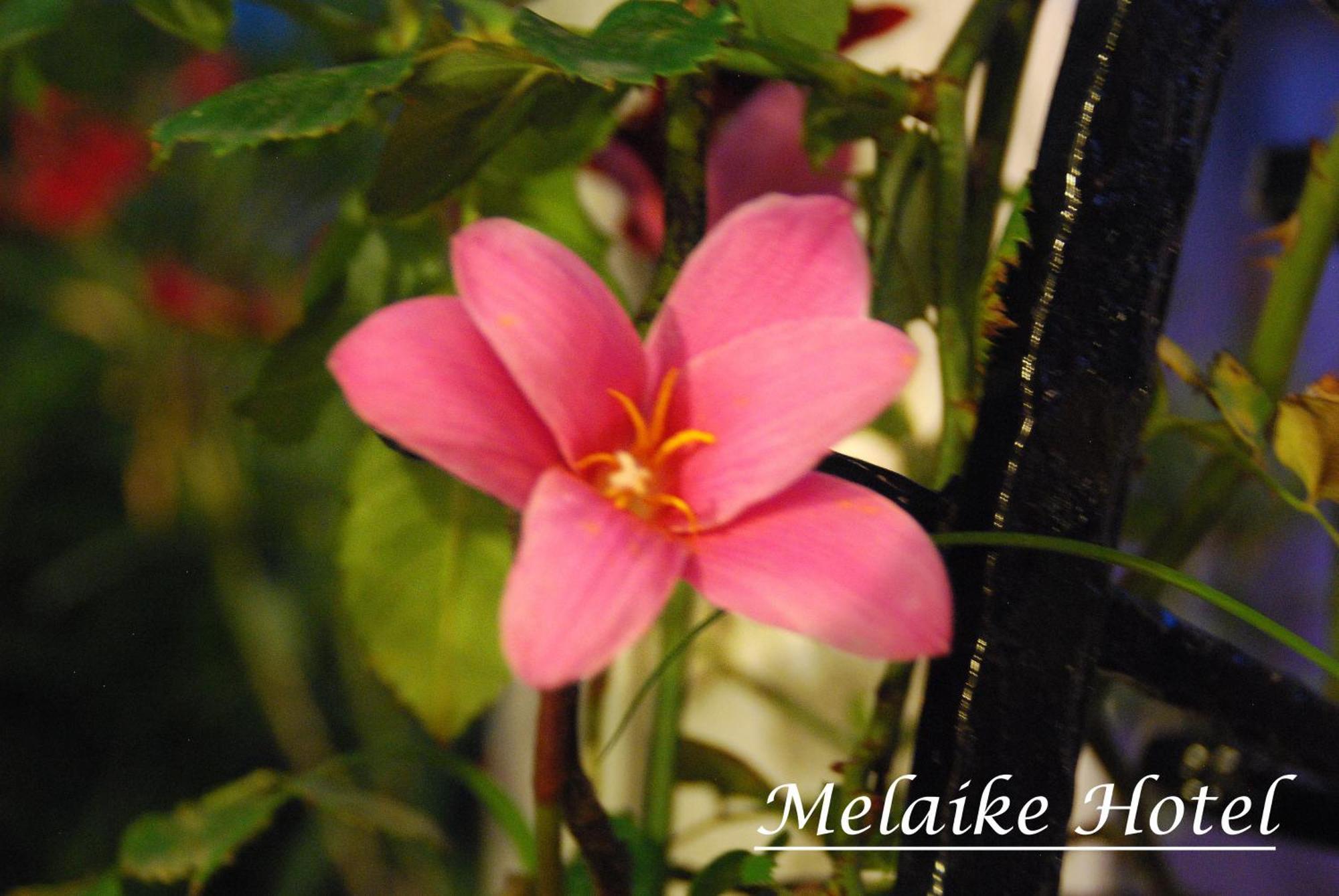 Melaike Hotel Foça Esterno foto
